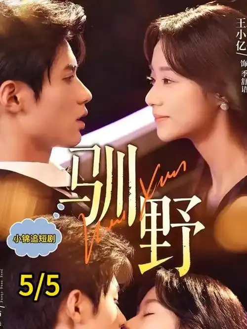 闪婚男女短剧封面